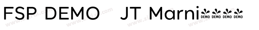 FSP DEMO   JT Marni字体转换